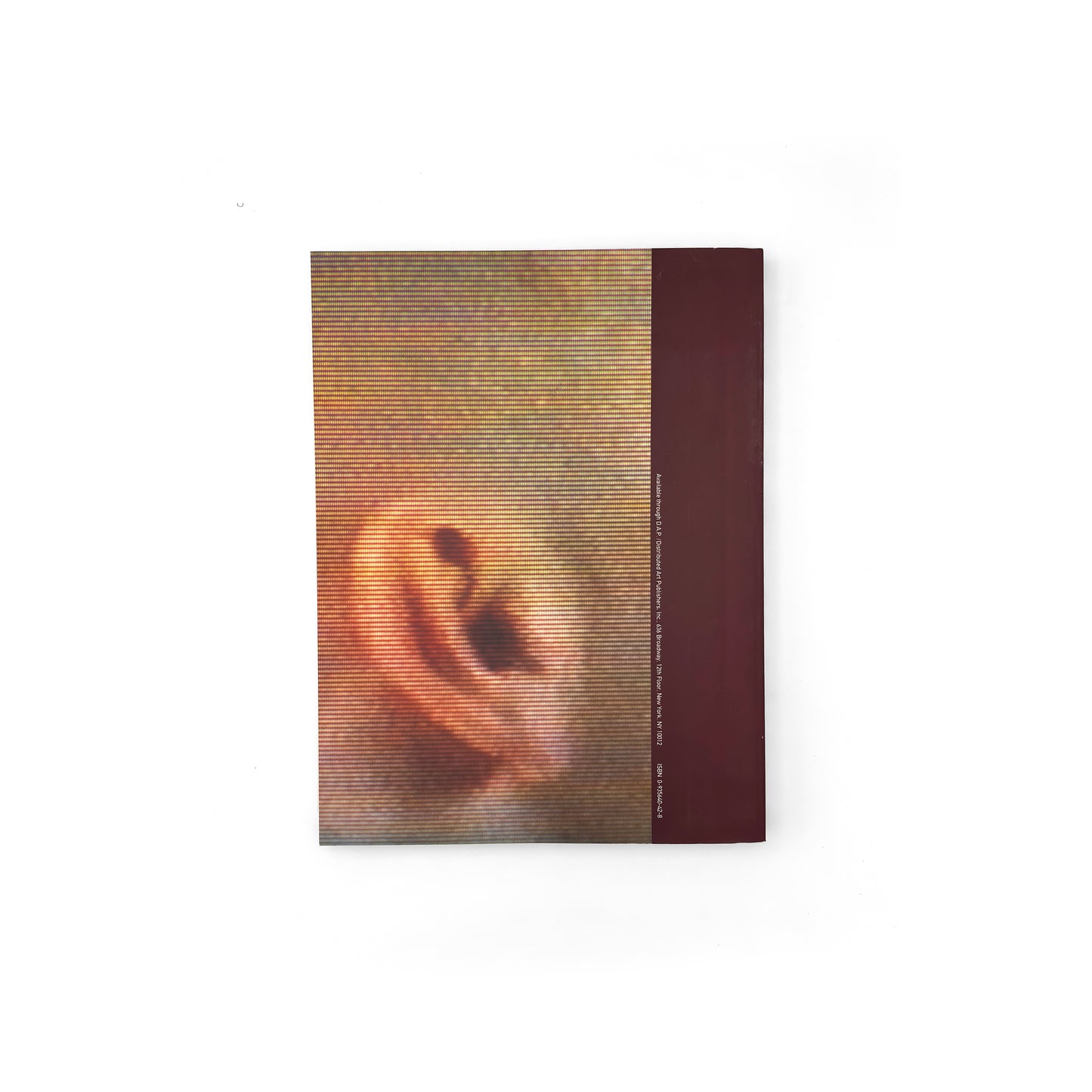 Bruce Nauman — Walker Art Center (1994)