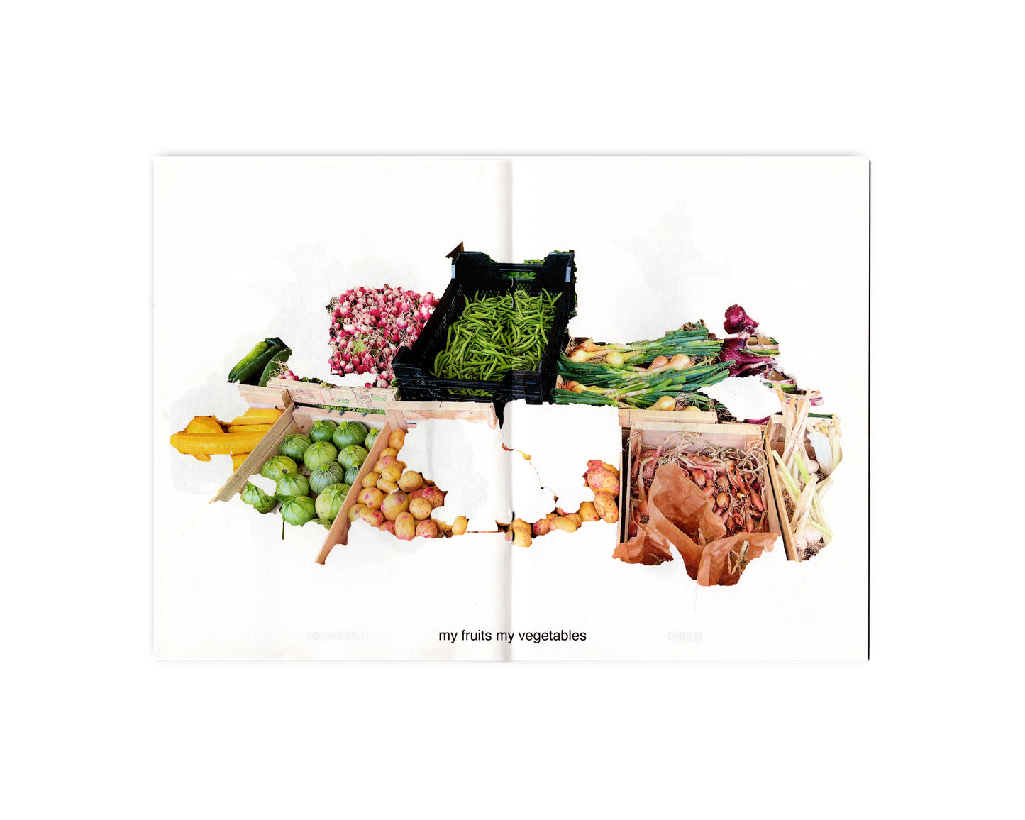 MY FRUITS MY VEGETABLES - FÉLIX SAINT-GENIS