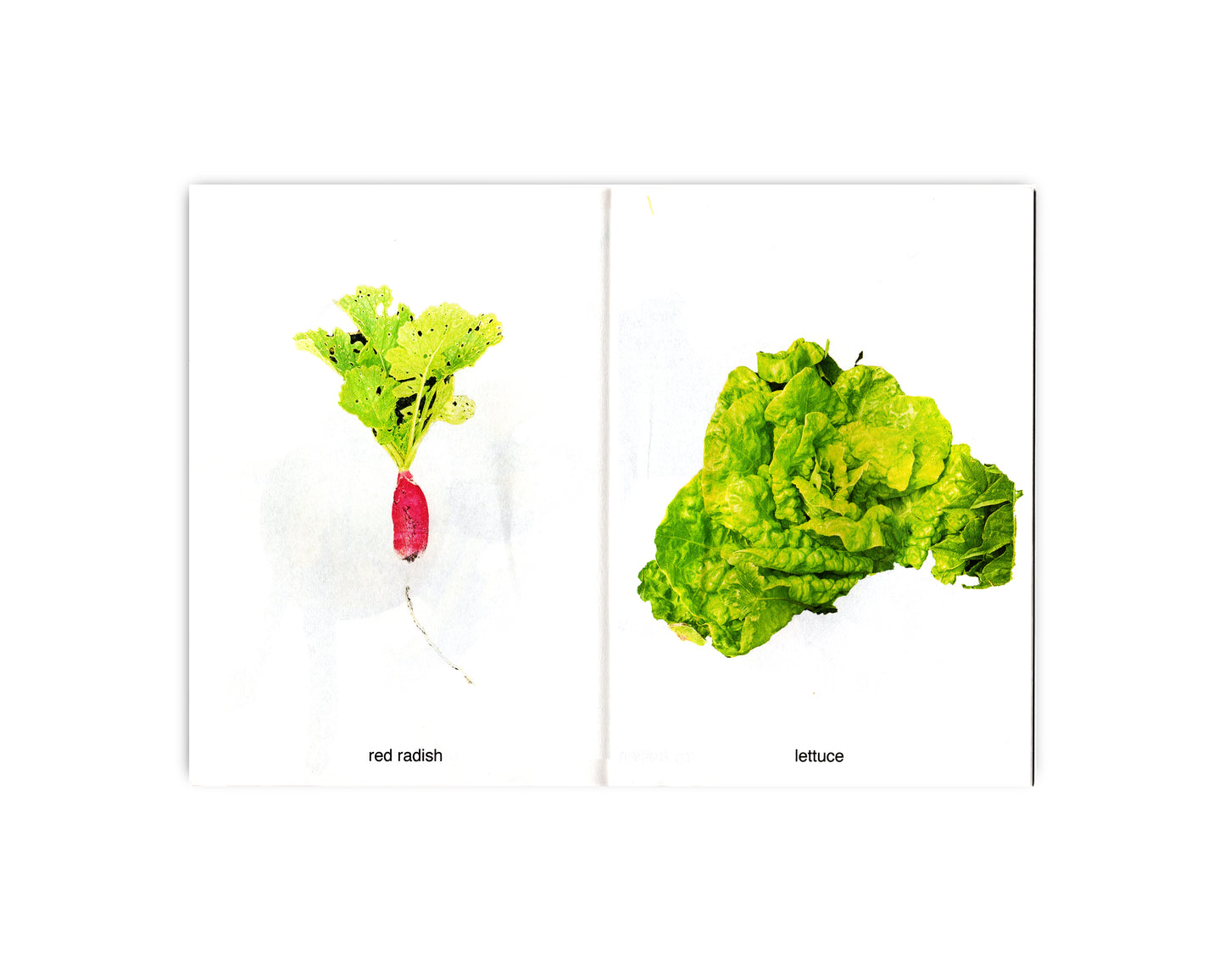 MY FRUITS MY VEGETABLES - FÉLIX SAINT-GENIS