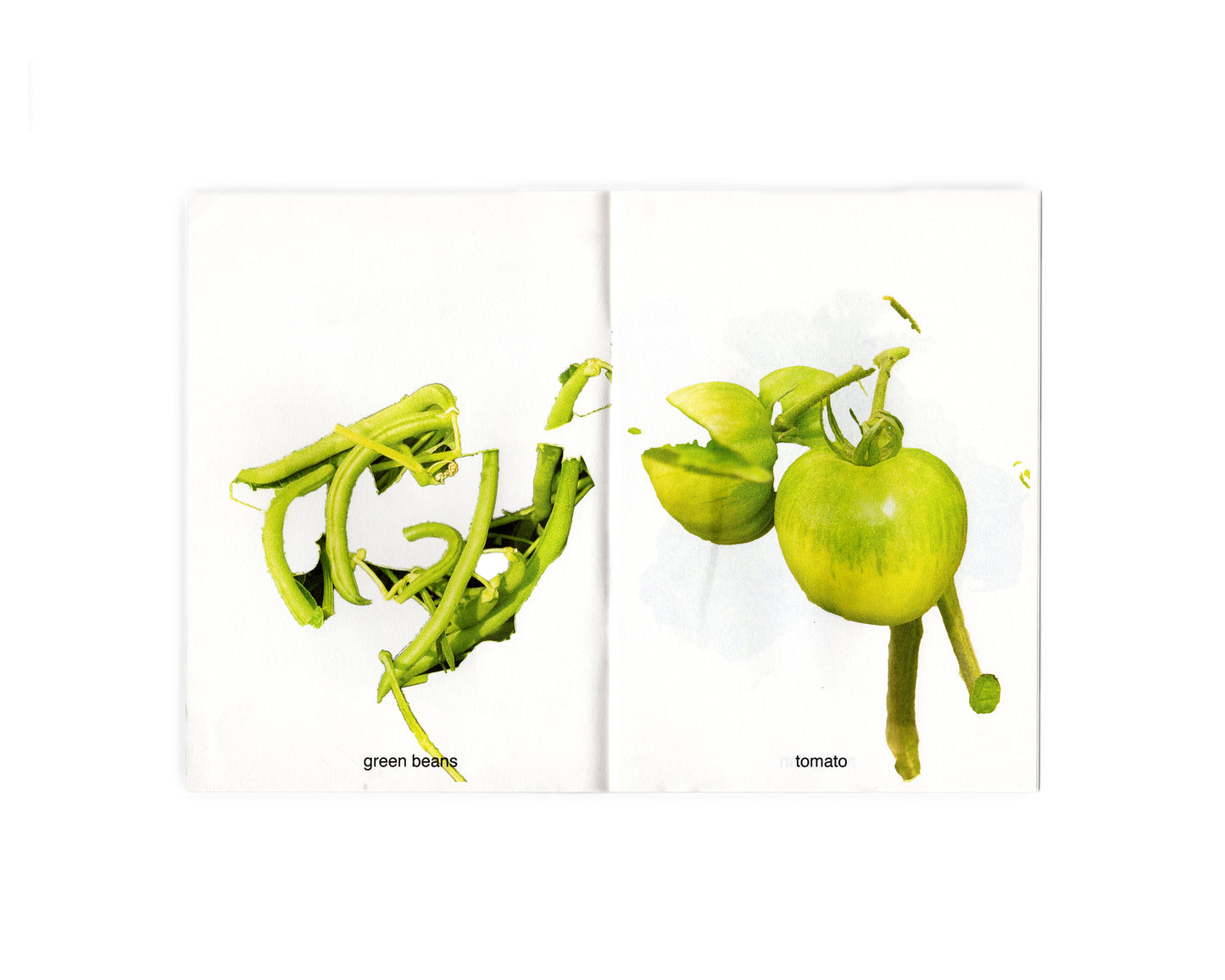 MY FRUITS MY VEGETABLES - FÉLIX SAINT-GENIS