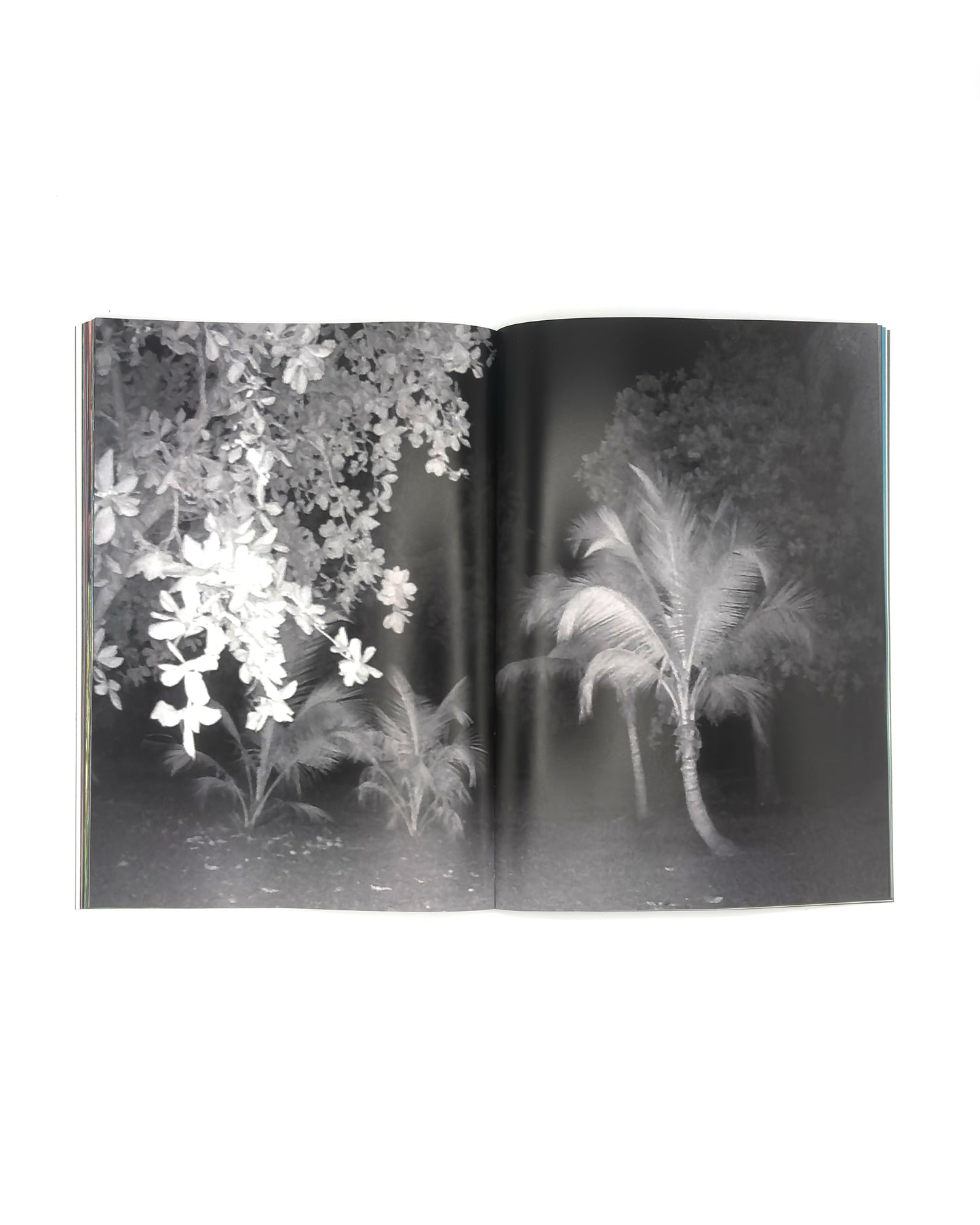 WHY ARE YOU RUNNING? - KENNY DUNKAN