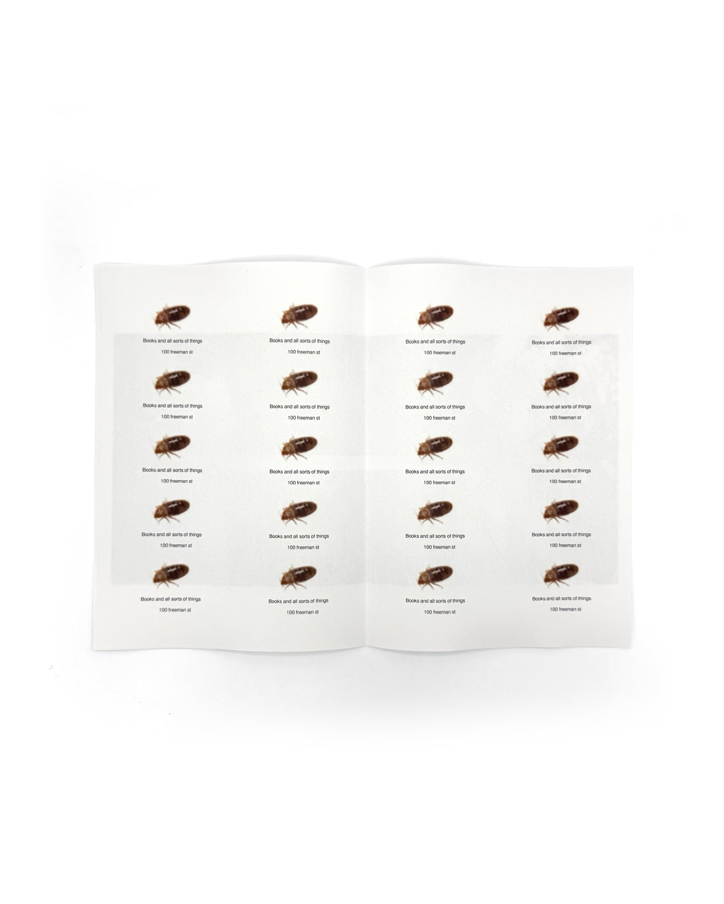 100 FREEMAN ST. - CLOWN SHOW PRISON