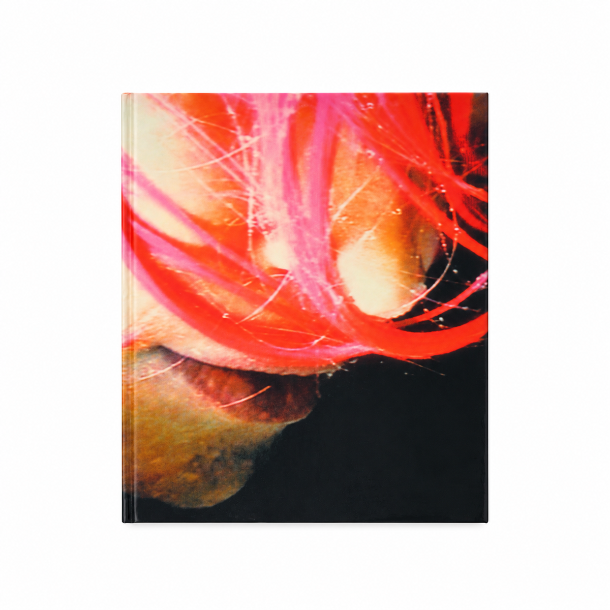 Pipilotti Rist — Himalaya — front cover