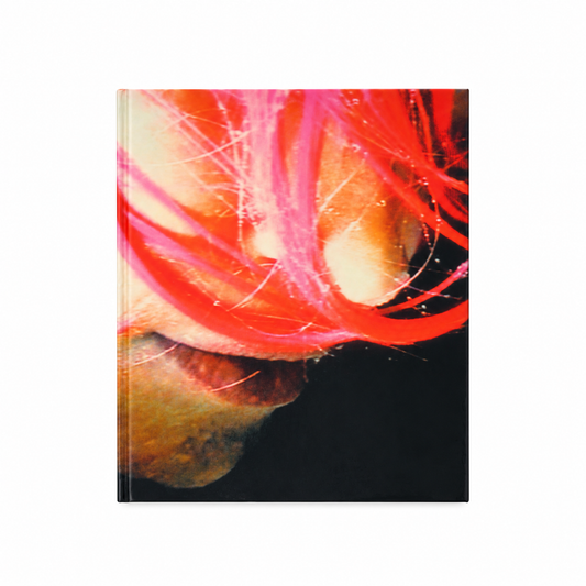 Pipilotti Rist — Himalaya — front cover